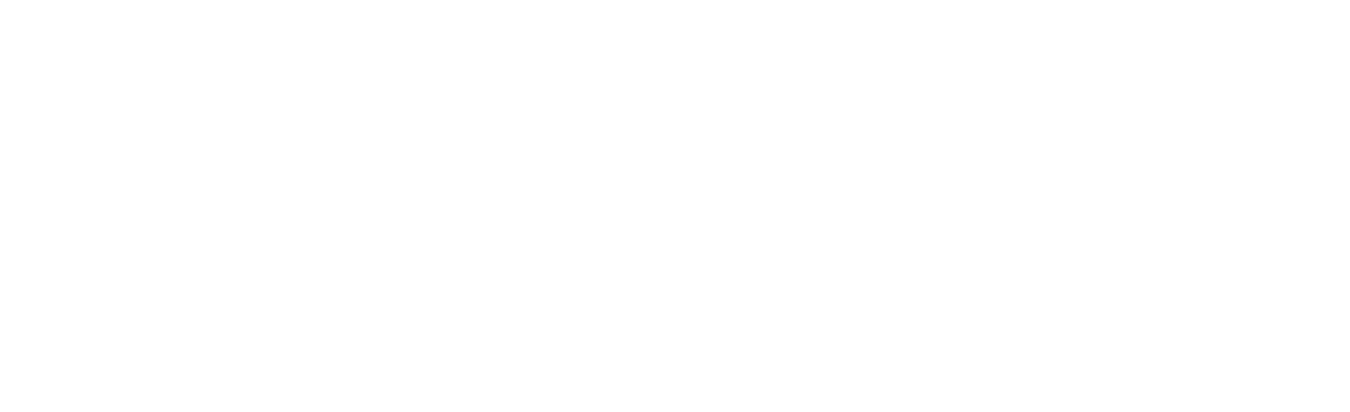 ENDURE LAB X